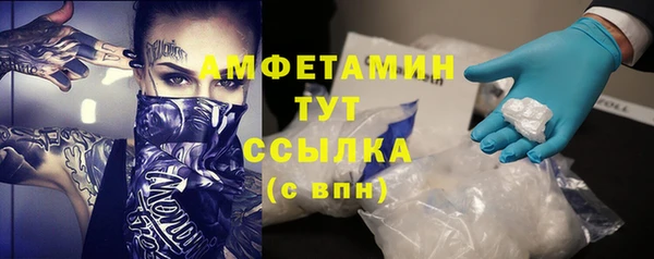 молекула духа Бородино