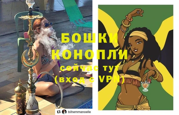 молекула духа Бородино