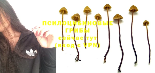 молекула духа Бородино