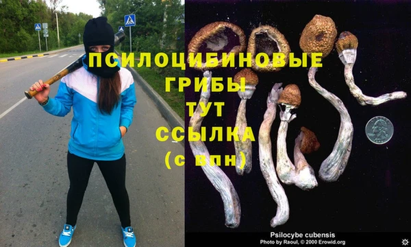 молекула духа Бородино