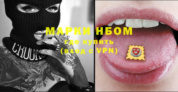 молекула духа Бородино