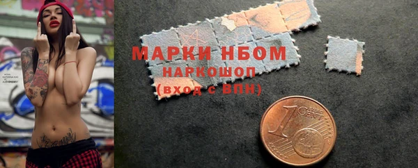 молекула духа Бородино