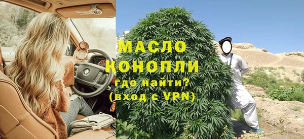 молекула духа Бородино