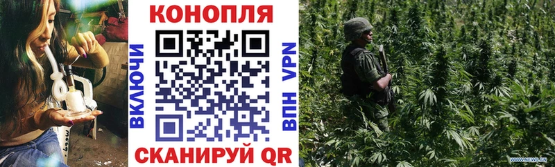 Бошки марихуана индика  Дальнегорск 